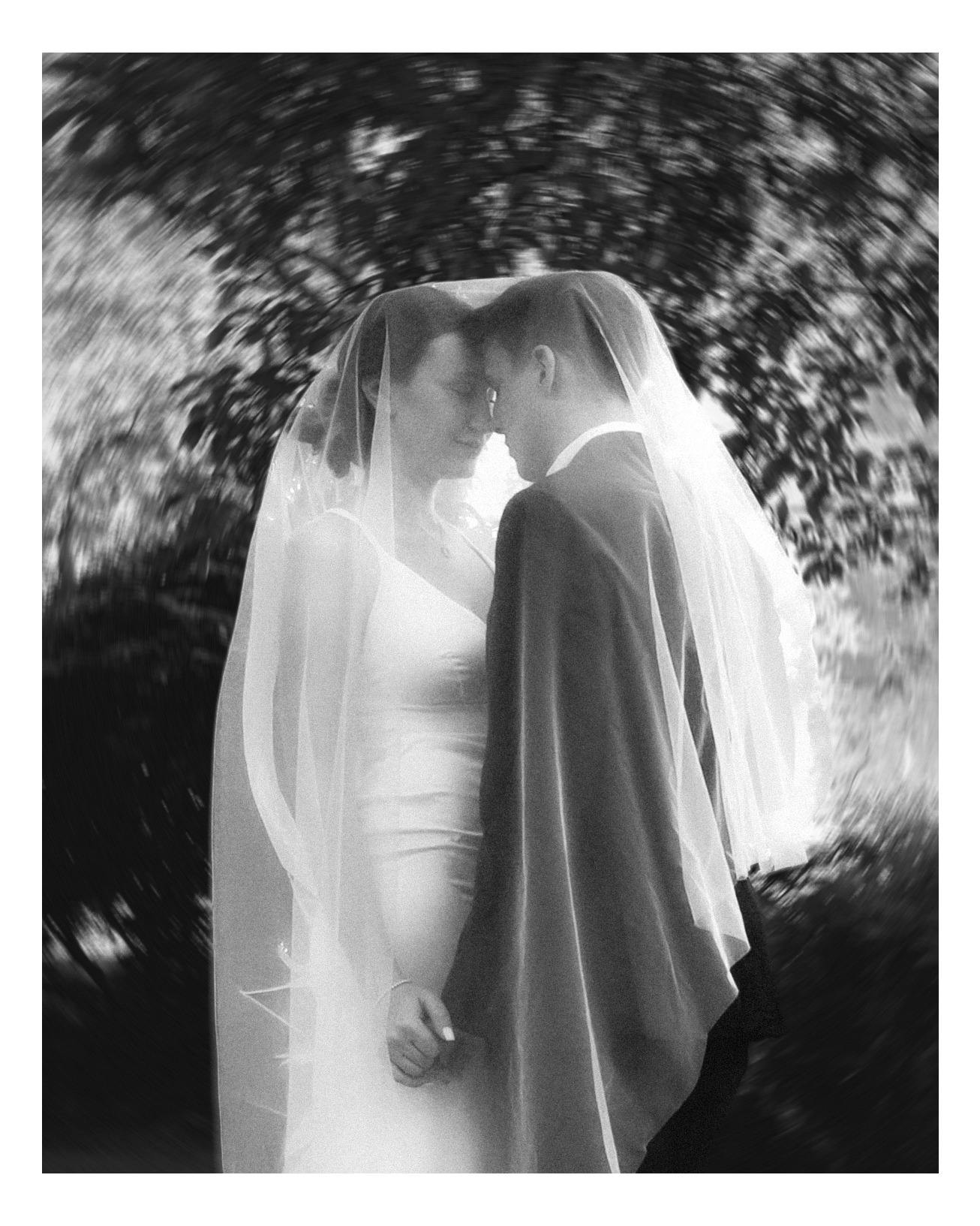 Veil kiss, black & white